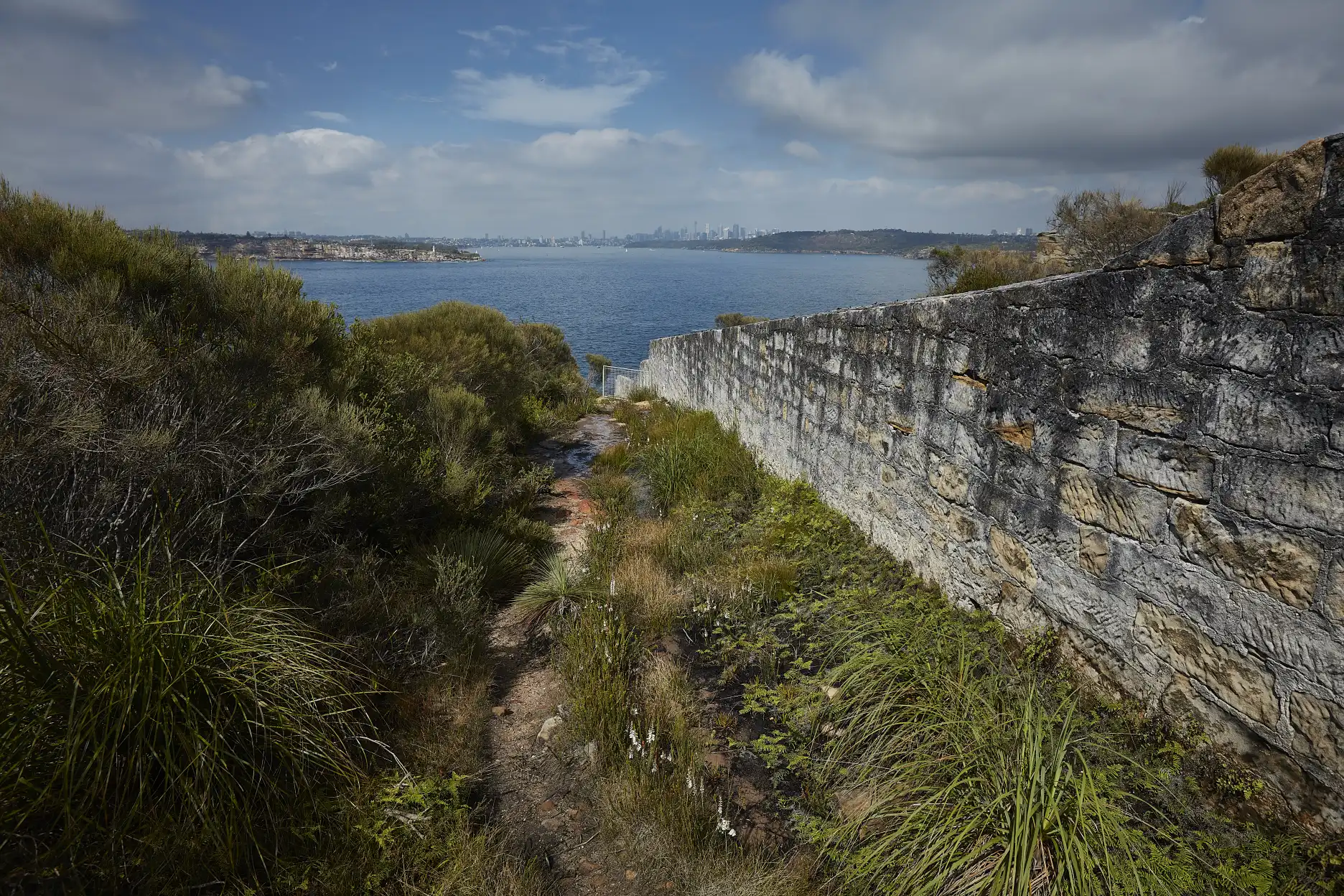 Seep at North Head, viewed looking towards Sydney Harbor